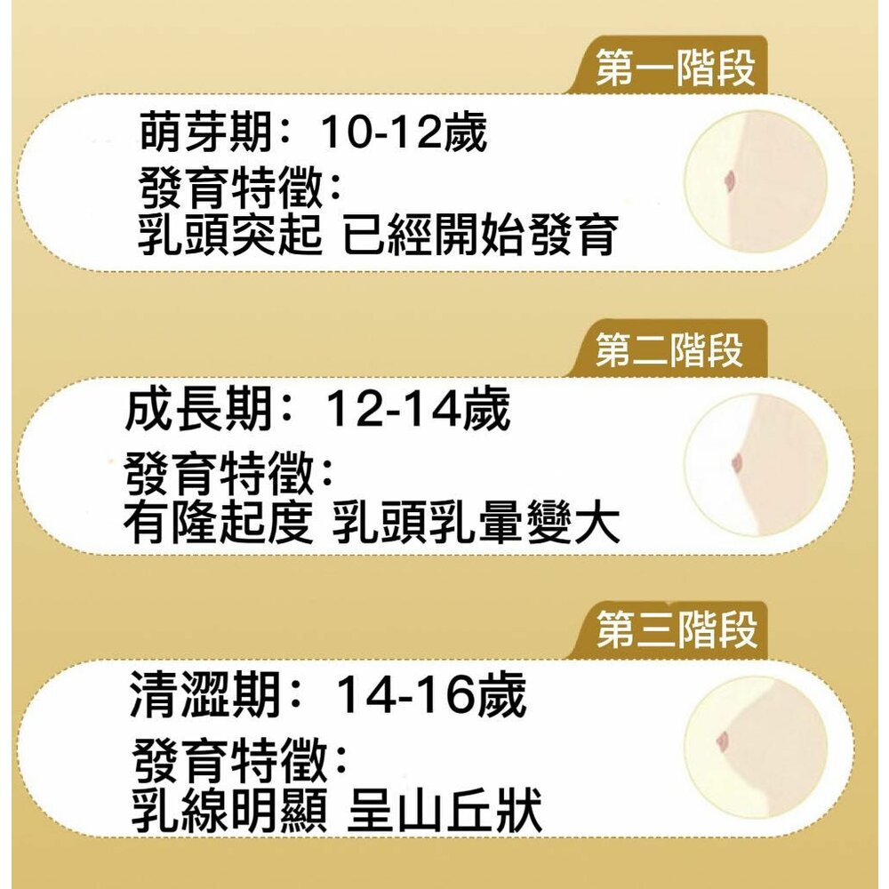 🎀台灣🎀 女童內衣 少女內衣 發育內衣 無痕內衣 女童小背心內衣 成長內衣-圖片-1