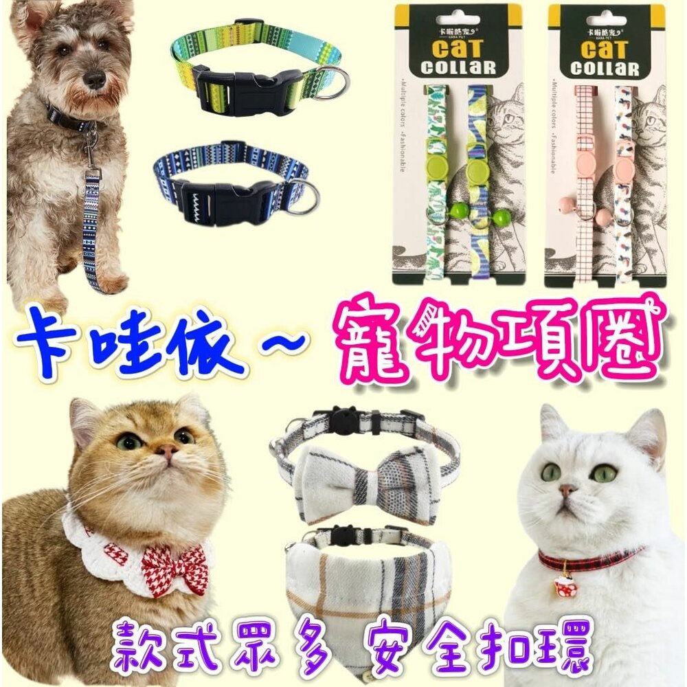 240625171549-✨台灣現貨✨寵物項圈 貓項圈 狗項圈 貓咪項圈 狗頸圈 貓頸圈 貓咪領巾 小狗項圈 小貓項圈