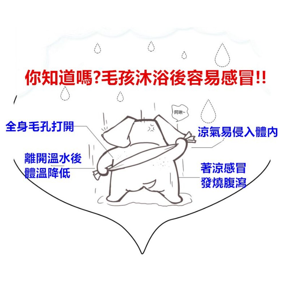 🎀台灣🎀 寵物浴巾 寵物毛巾 吸水毛巾 寵物洗澡毛巾 寵物吸水巾 狗狗毛巾-圖片-1