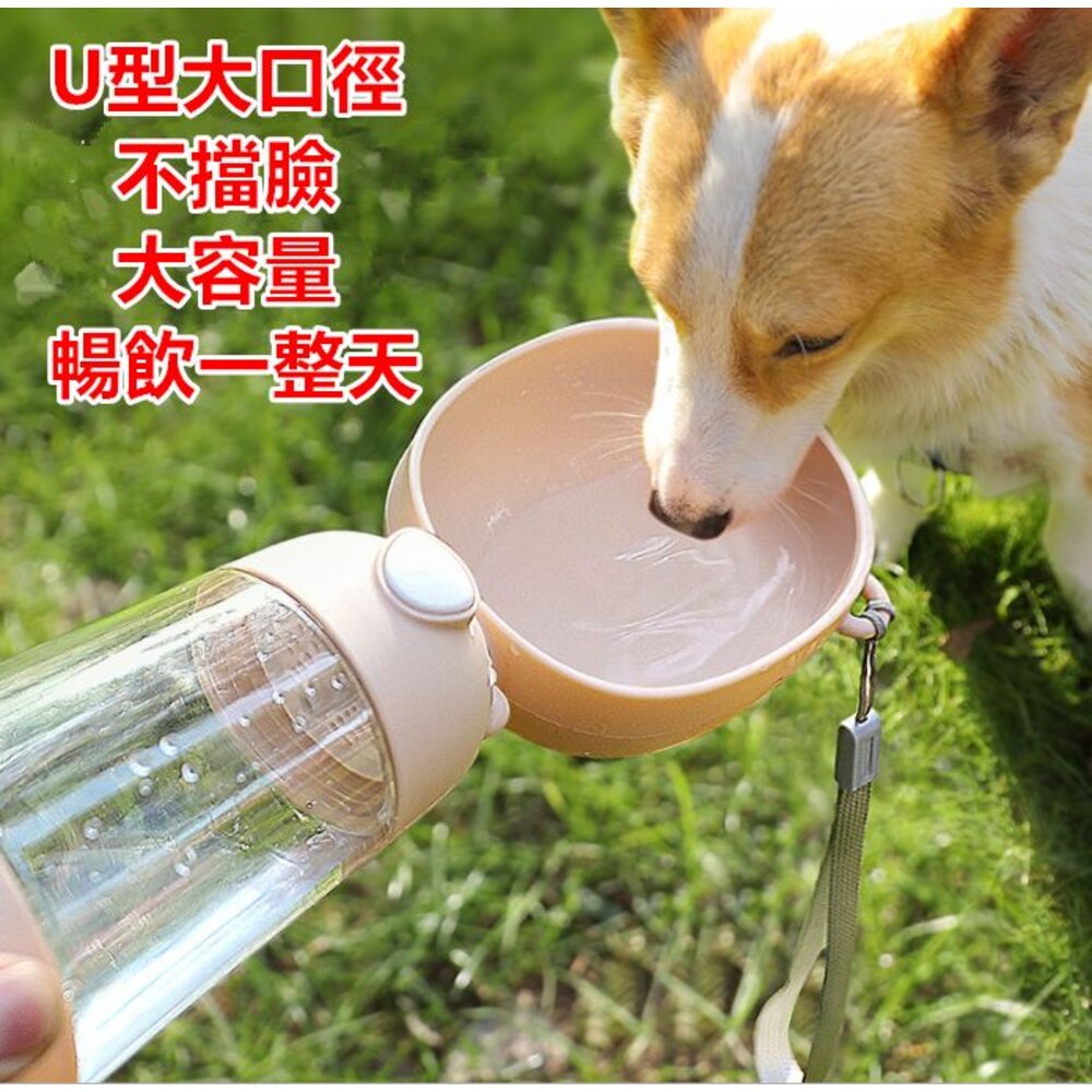 ✨台灣✨寵物水壺 二合一寵物隨行杯 外出水壺 寵物隨行杯 寵物水瓶 狗狗水壺-圖片-3