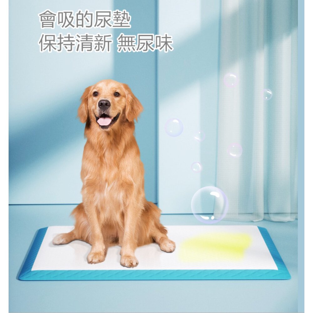 升級加厚 寵物尿布墊 超吸水尿布墊 狗狗尿墊 狗尿布墊 寵物狗尿布 尿布墊寵物-圖片-5