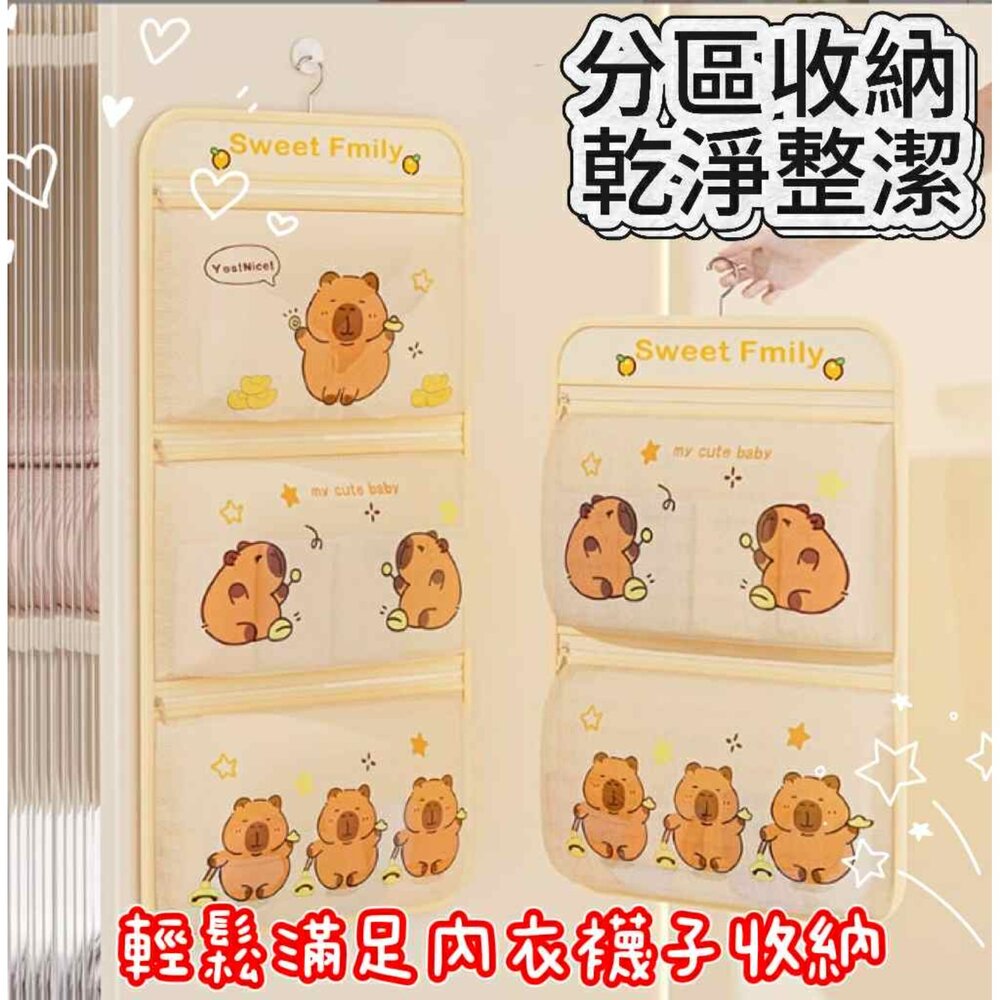 250610104946-現貨 內衣內褲收納網兜 襪子收納掛袋  內衣收納 多層懸掛式掛袋 衣櫥收納