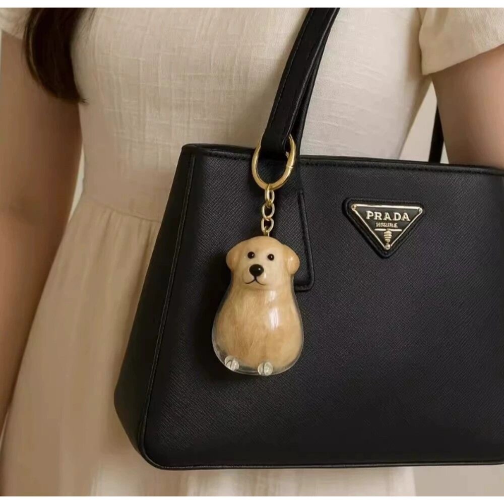 狗毛收納盒 狗毛收納掛件 毛髮收集 紀念收藏鑰匙圈 小狗毛髮透明收納盒-圖片-4