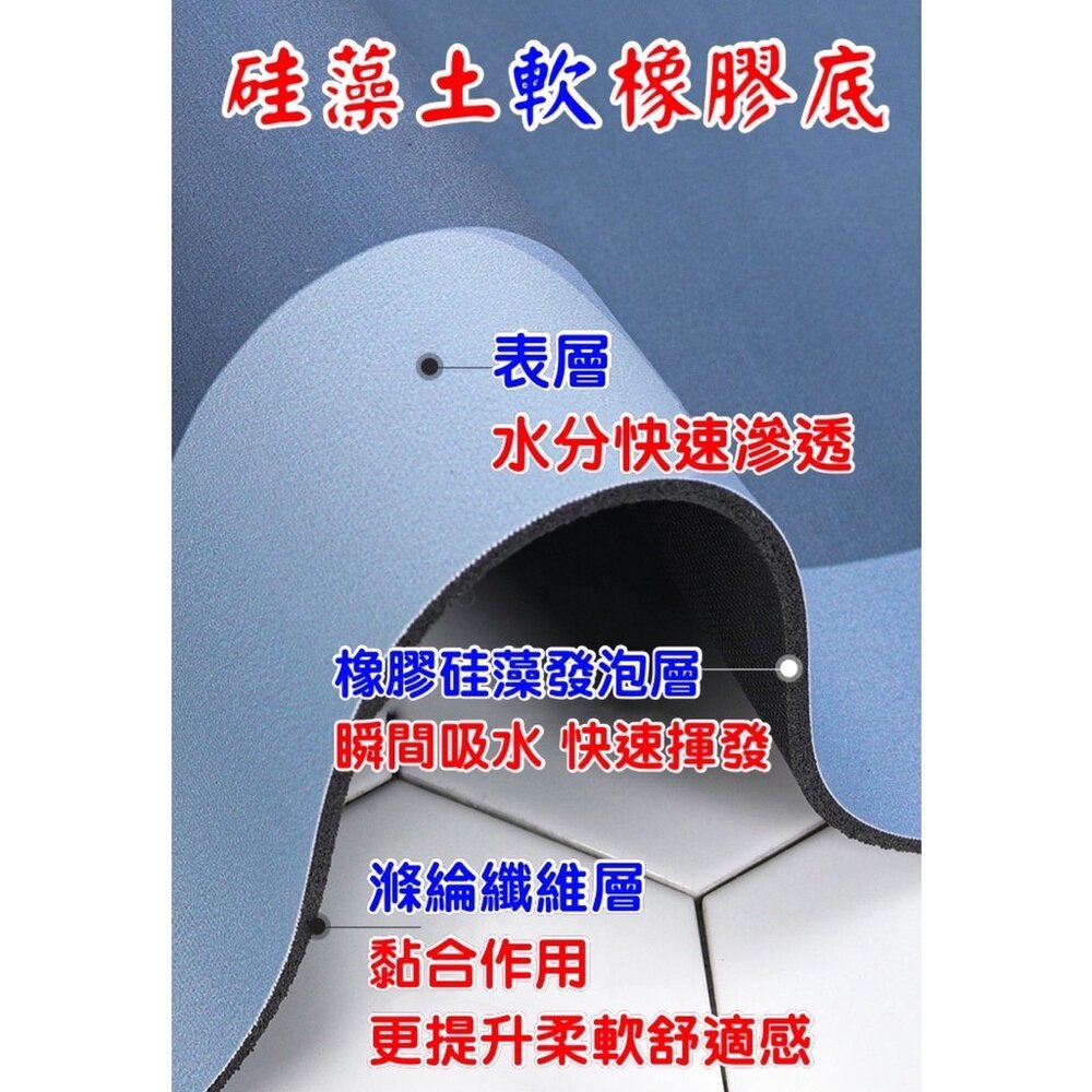 台灣出貨 可愛卡通軟式吸水硅藻泥防滑墊 吸水墊地墊 門口地墊浴室防滑腳墊 吸水地墊-圖片-2
