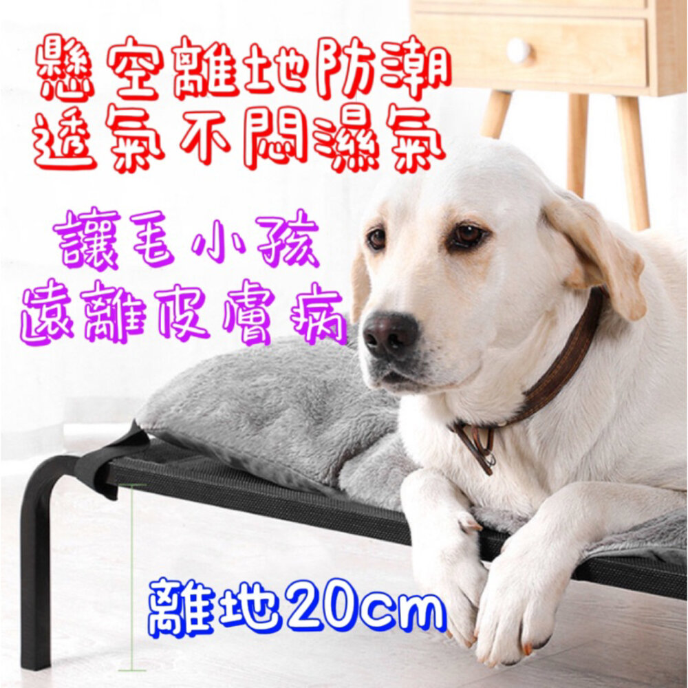 ✨台灣免等✨ 寵物行軍床 寵物床 行軍床 狗睡床 寵物透氣床 寵物飛行床 狗床-圖片-5