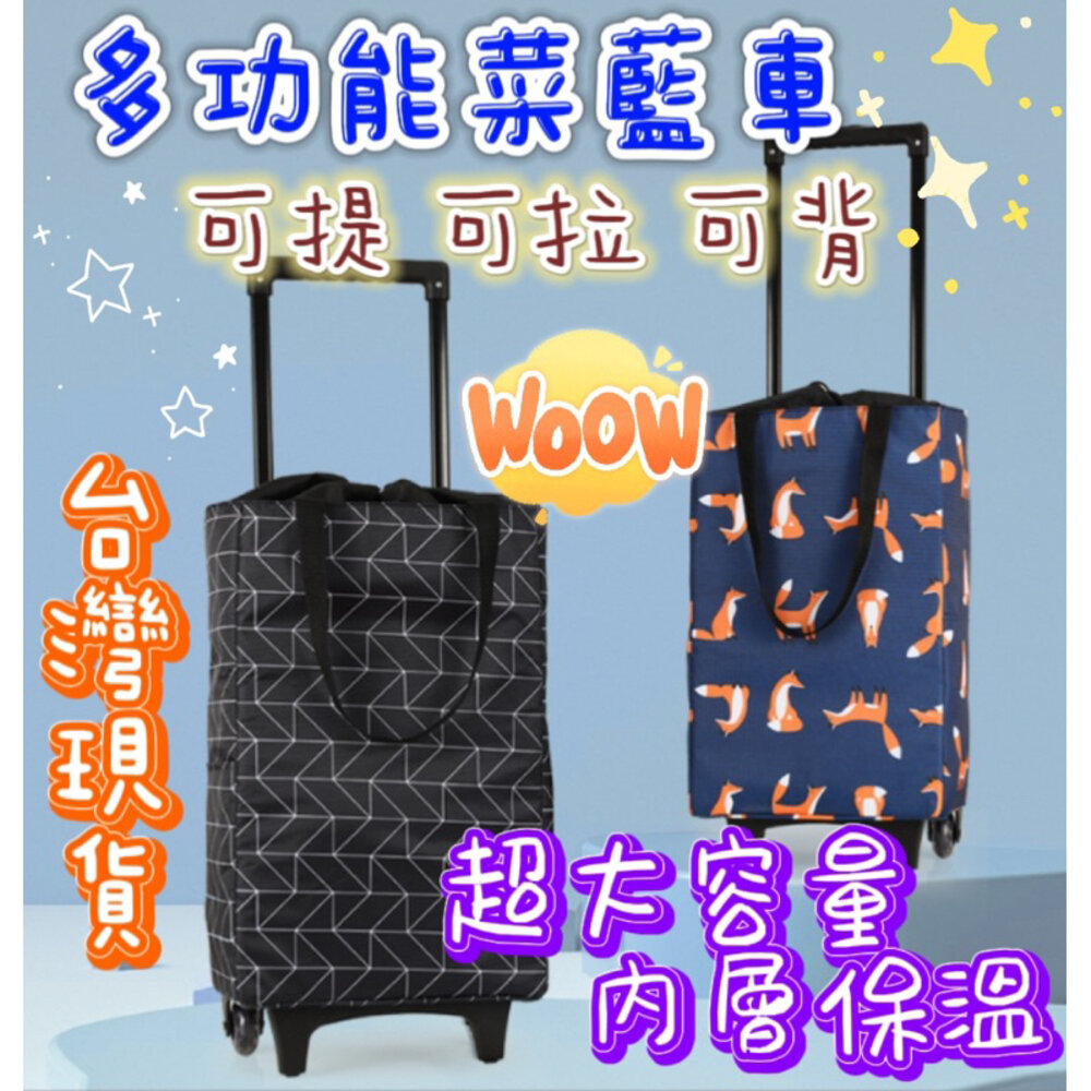 S1-21774397743-✨台灣出貨免運✨ 折疊購物車 買菜購物車 菜籃車 買菜車 購物袋 折疊購物袋
