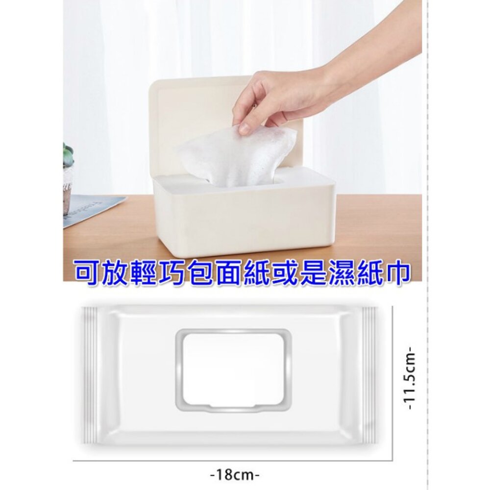 🔥台灣 口罩收納盒 衛生紙盒 濕紙巾盒 收納盒 口罩盒-圖片-4