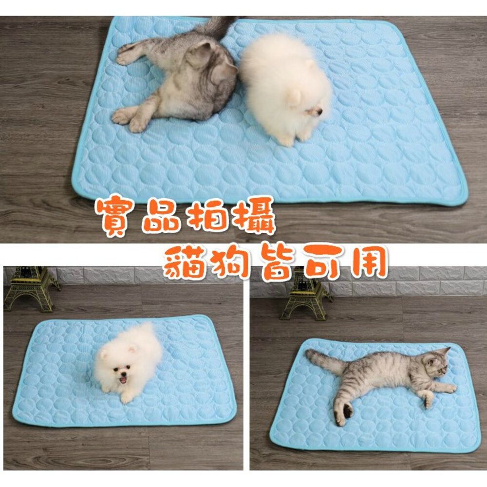 台灣 寵物涼墊 冰絲涼感墊 寵物墊 寵物散熱墊 降溫墊 涼墊-圖片-5