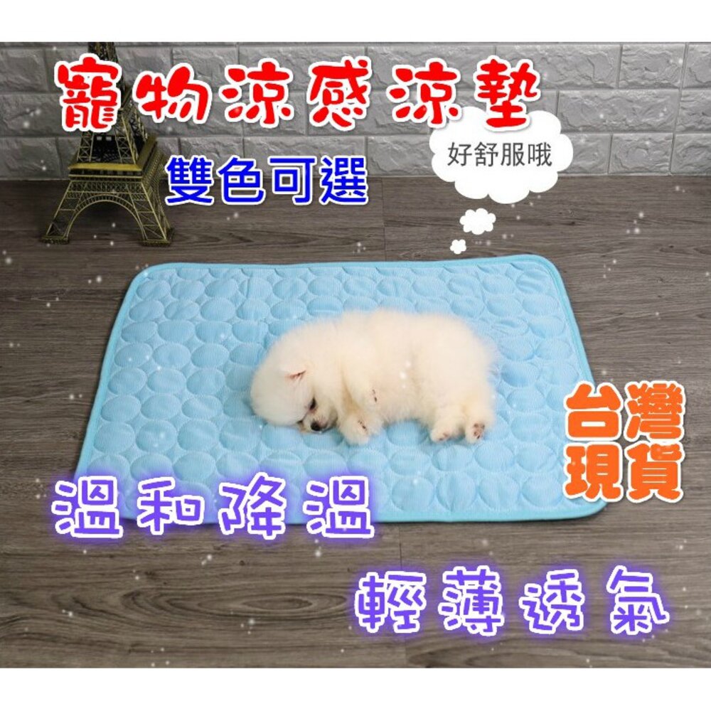 S1-8865220388-台灣現貨 寵物涼墊 冰絲涼感墊 寵物墊  寵物散熱墊 降溫墊 涼墊
