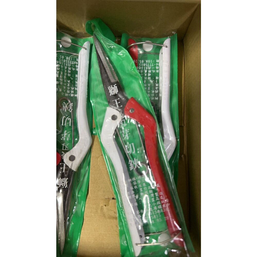 240802095637-台灣製造 獅王 長刃 芽切鋏 獅王 剪刀 芽切剪 採果剪刀 花剪 獅王芽切剪 花藝剪刀 修枝剪 園藝剪