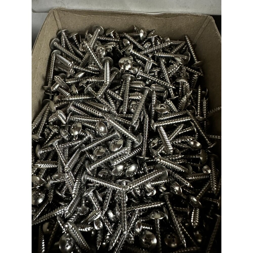 不鏽鋼大扁頭鐵板牙 鐵板牙大扁 304螺絲 不鏽鋼螺絲 自攻螺絲 螺絲 木螺絲 白鐵TP大扁-圖片-1