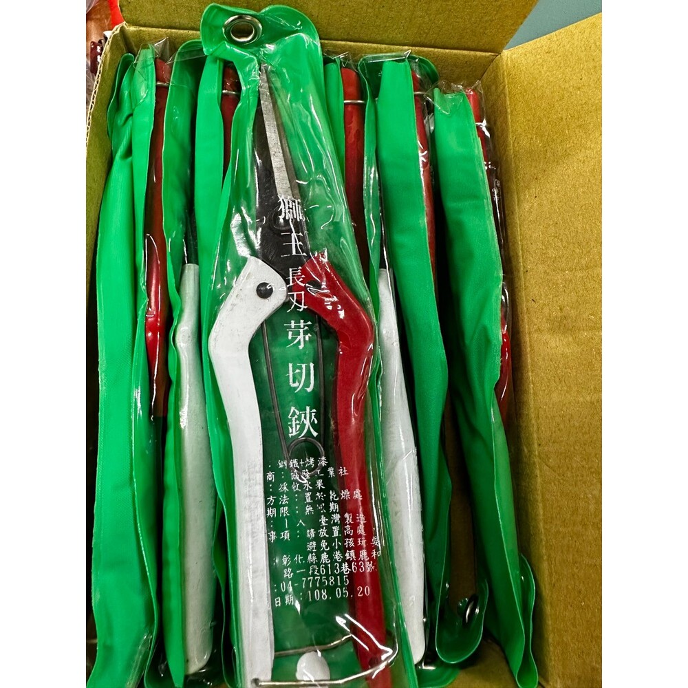 台灣製 獅王 田中剪 園藝剪刀 花藝剪 萬用剪刀 採果剪刀 農業剪 花剪 剪刀 剪定鋏-圖片-2