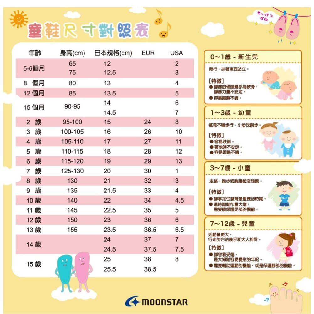 Moonstar月星 日本機能童鞋 小童 嬰幼童 學步鞋 CRB1474/MSB77S66/ MSB77S62-圖片-3