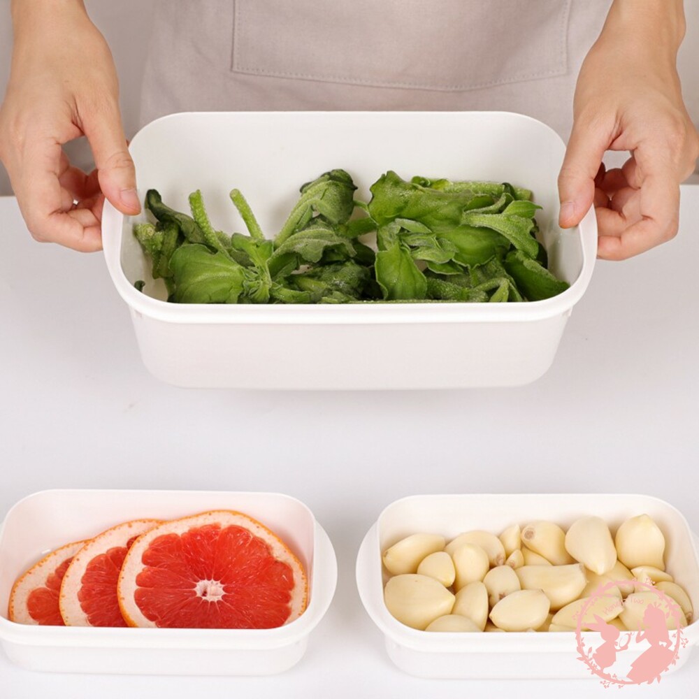 山田 YAMADA 日本製 WHITYPACK 保鮮盒-圖片-6