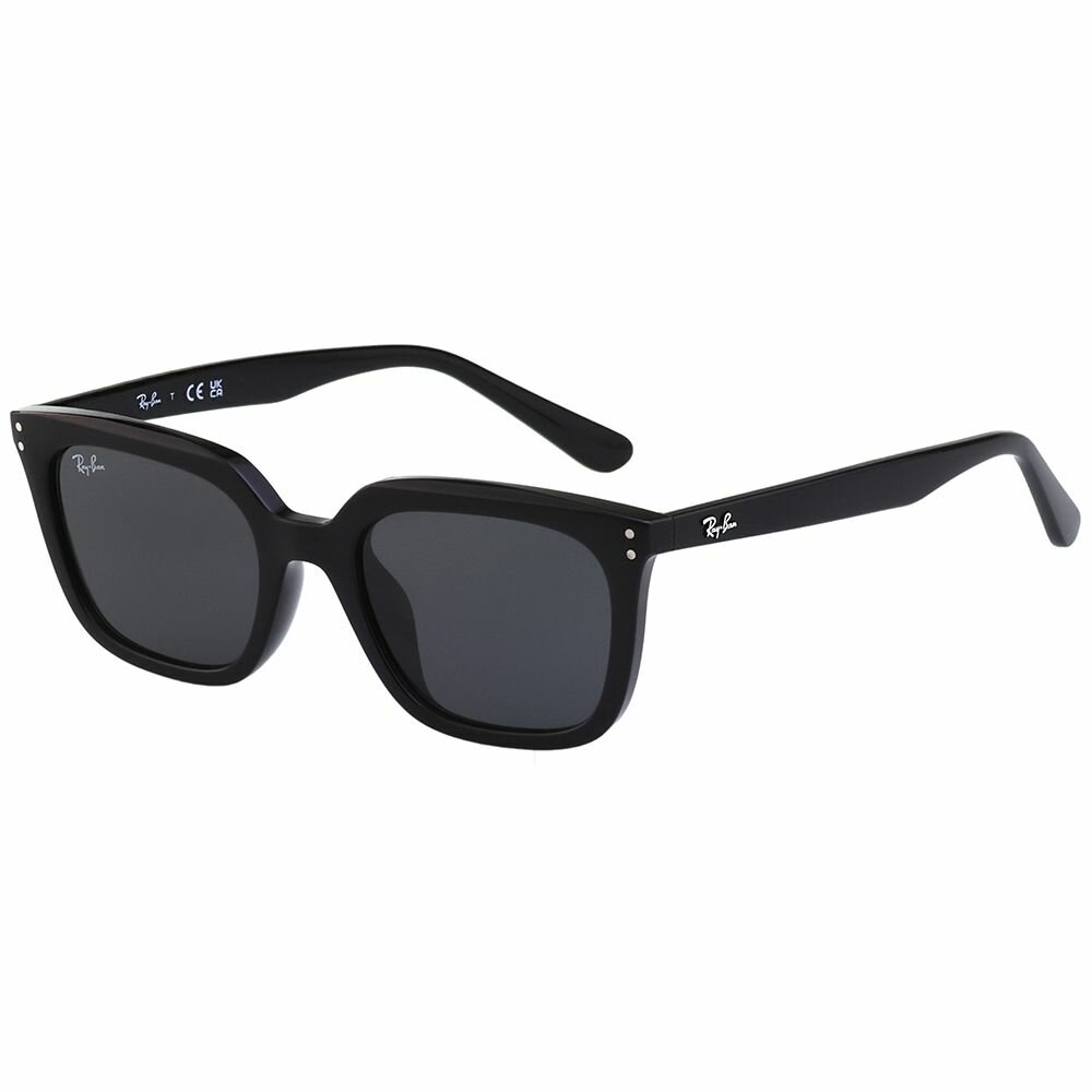 RB4439D-90187-RAY BAN 太陽眼鏡(黑色)RB4439D