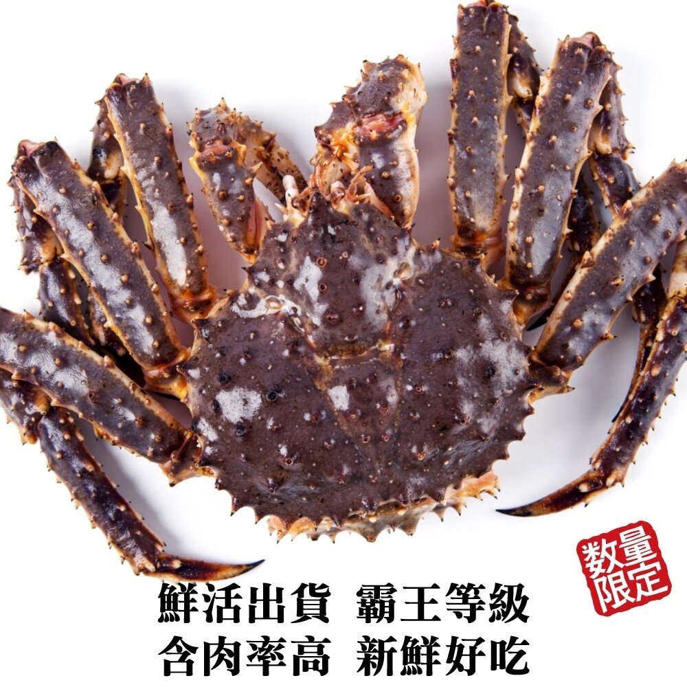 霸王級生凍帝王蟹(每隻1.5kg-2kg±10%) 【海陸管家】全省免運-圖片-2