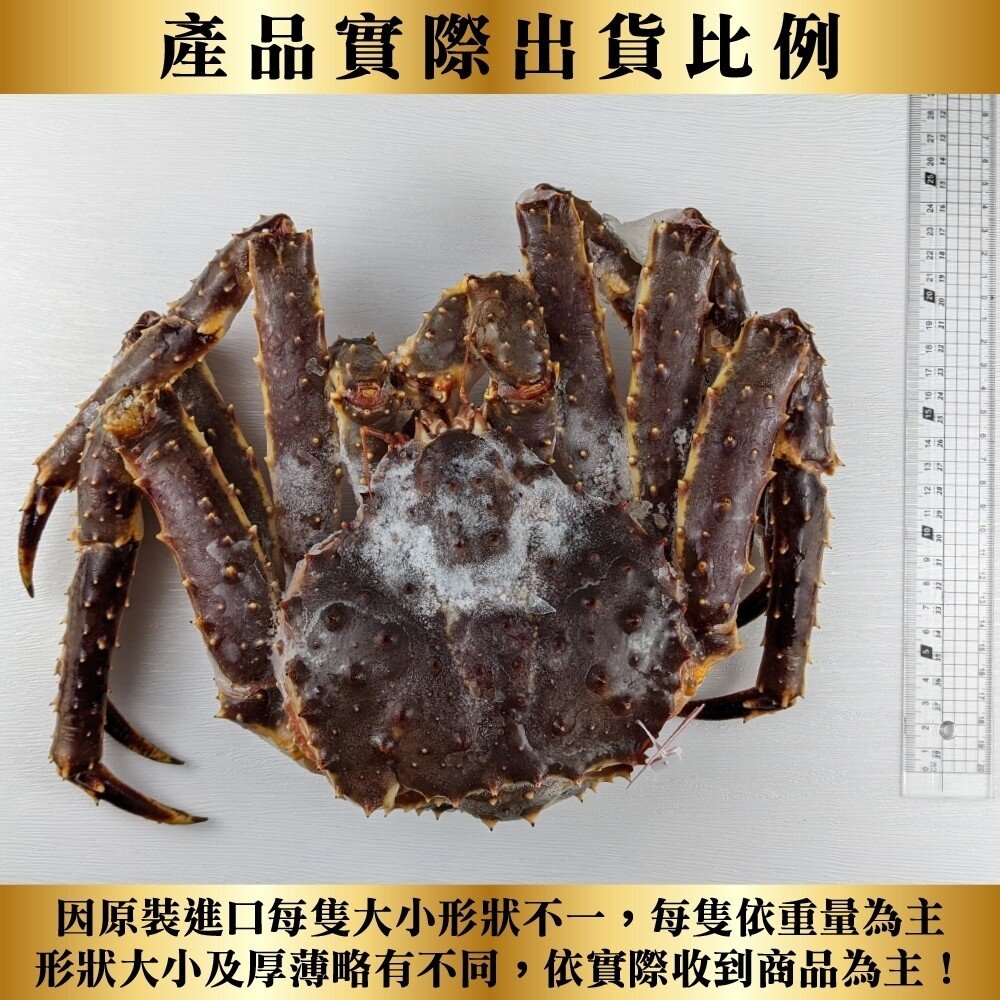 霸王級生凍帝王蟹(每隻1.5kg-2kg±10%) 【海陸管家】全省免運-圖片-6