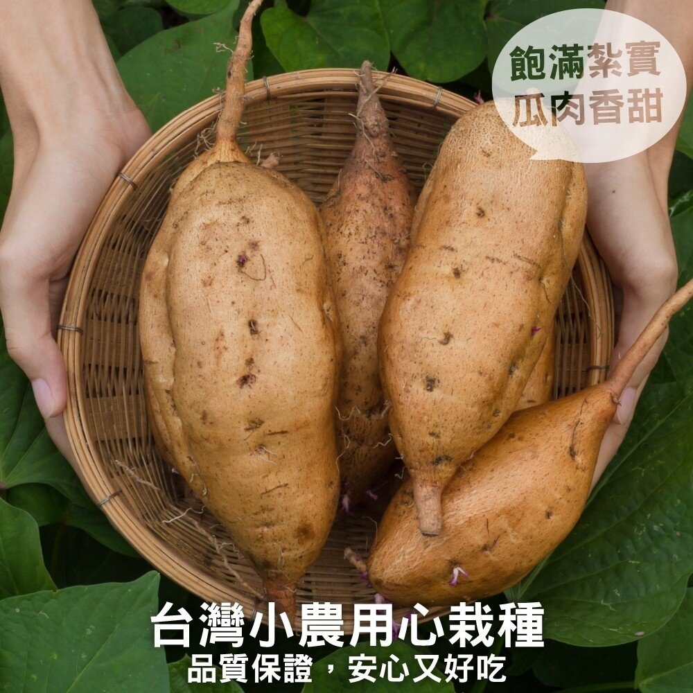 台農57號黃金地瓜(生)【海陸管家】全省免運-圖片-2