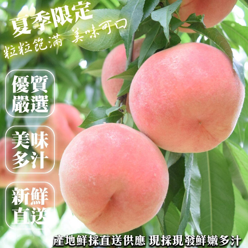 美國桃仙子水蜜桃原箱4kg±10%含箱 0運費【果之蔬】美國水蜜桃 進口水蜜桃 水蜜桃禮盒 桃仙子 水蜜桃-圖片-1