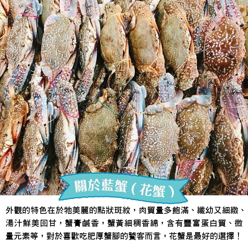 嚴選活凍藍蟹(每隻100g-150g)【天天鮮配】滿額免運 藍蟹 螃蟹-圖片-1