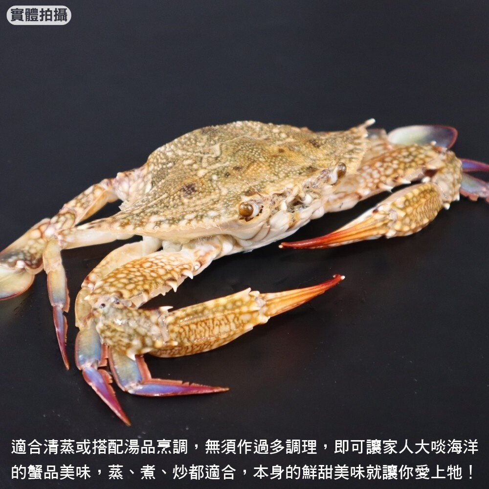 嚴選活凍藍蟹(每隻100g-150g)【天天鮮配】滿額免運 藍蟹 螃蟹-圖片-2