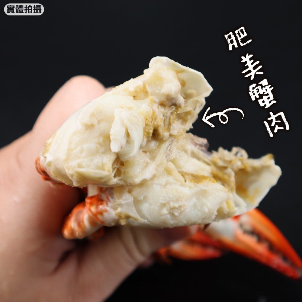 嚴選活凍藍蟹(每隻100g-150g)【天天鮮配】滿額免運 藍蟹 螃蟹-圖片-5