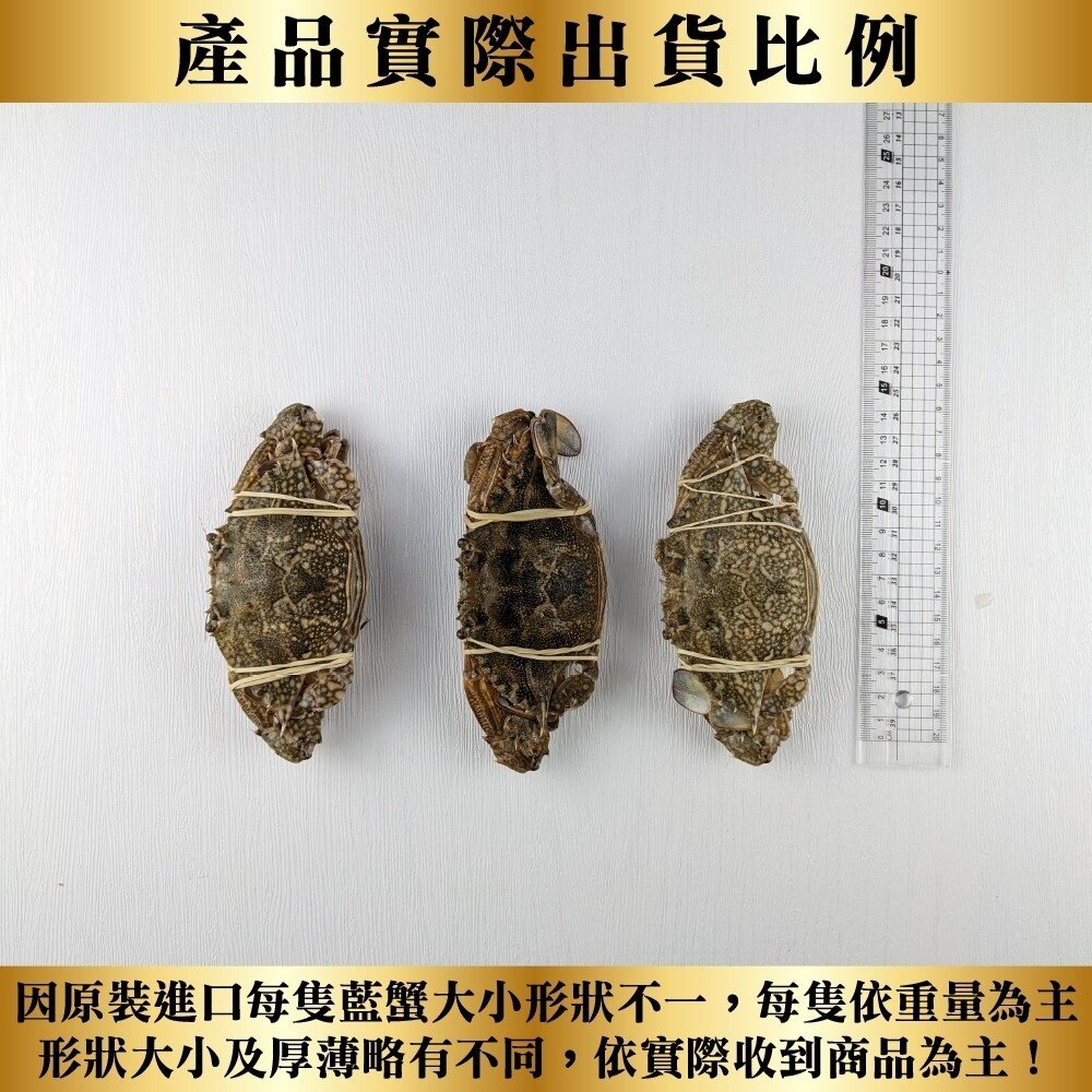 嚴選活凍藍蟹(每隻100g-150g)【海陸管家】滿額免運 藍蟹 螃蟹-圖片-7