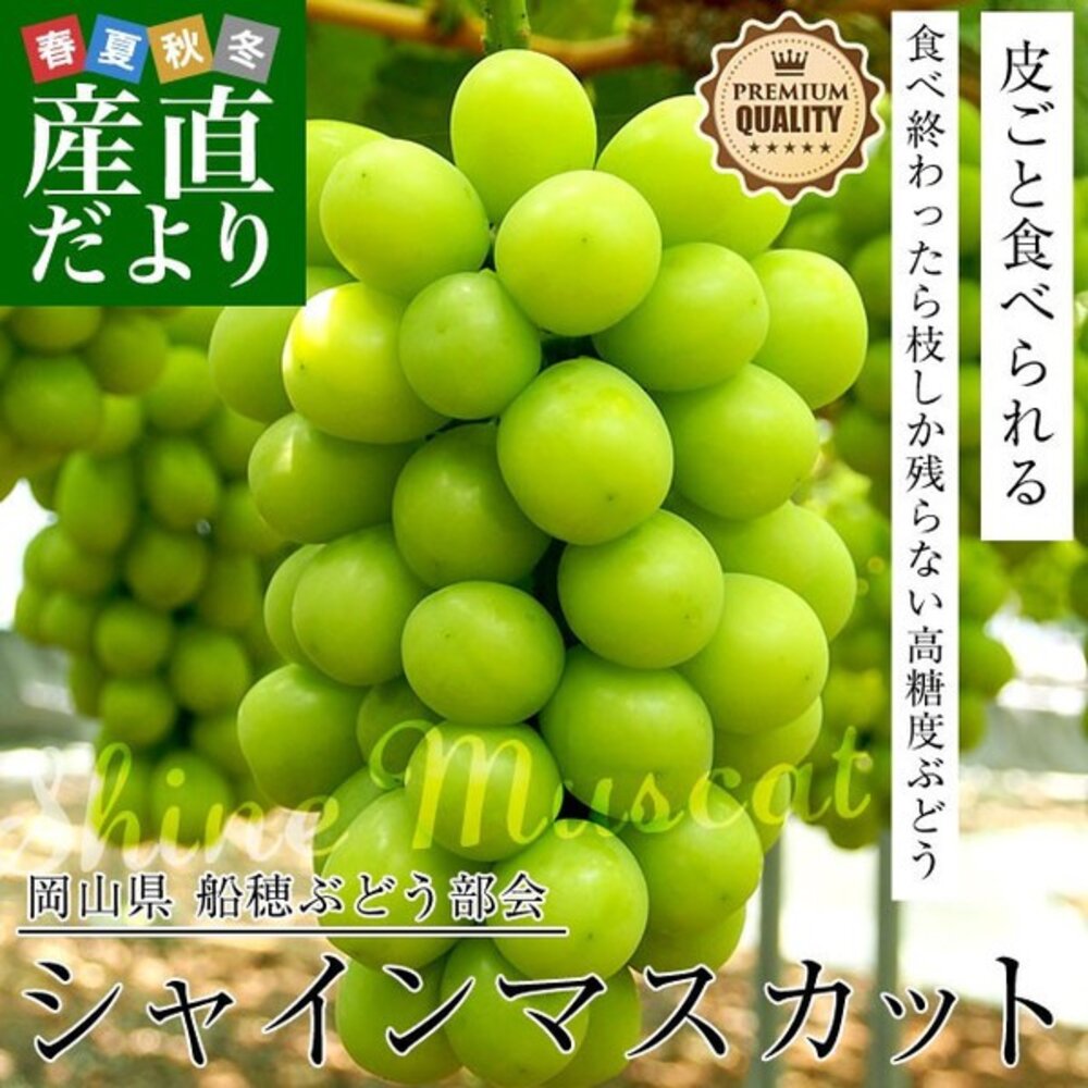 日本岡山晴王麝香葡萄禮盒 0運費【果之蔬】日本葡萄 無籽葡萄 綠葡萄 日本綠葡萄 日本水果 晴王葡萄-圖片-3