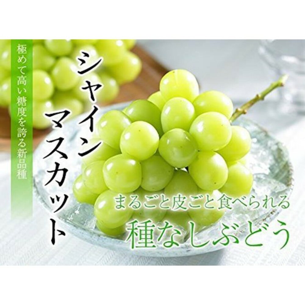 日本岡山晴王麝香葡萄禮盒 0運費【果之蔬】日本葡萄 無籽葡萄 綠葡萄 日本綠葡萄 日本水果 晴王葡萄-圖片-4