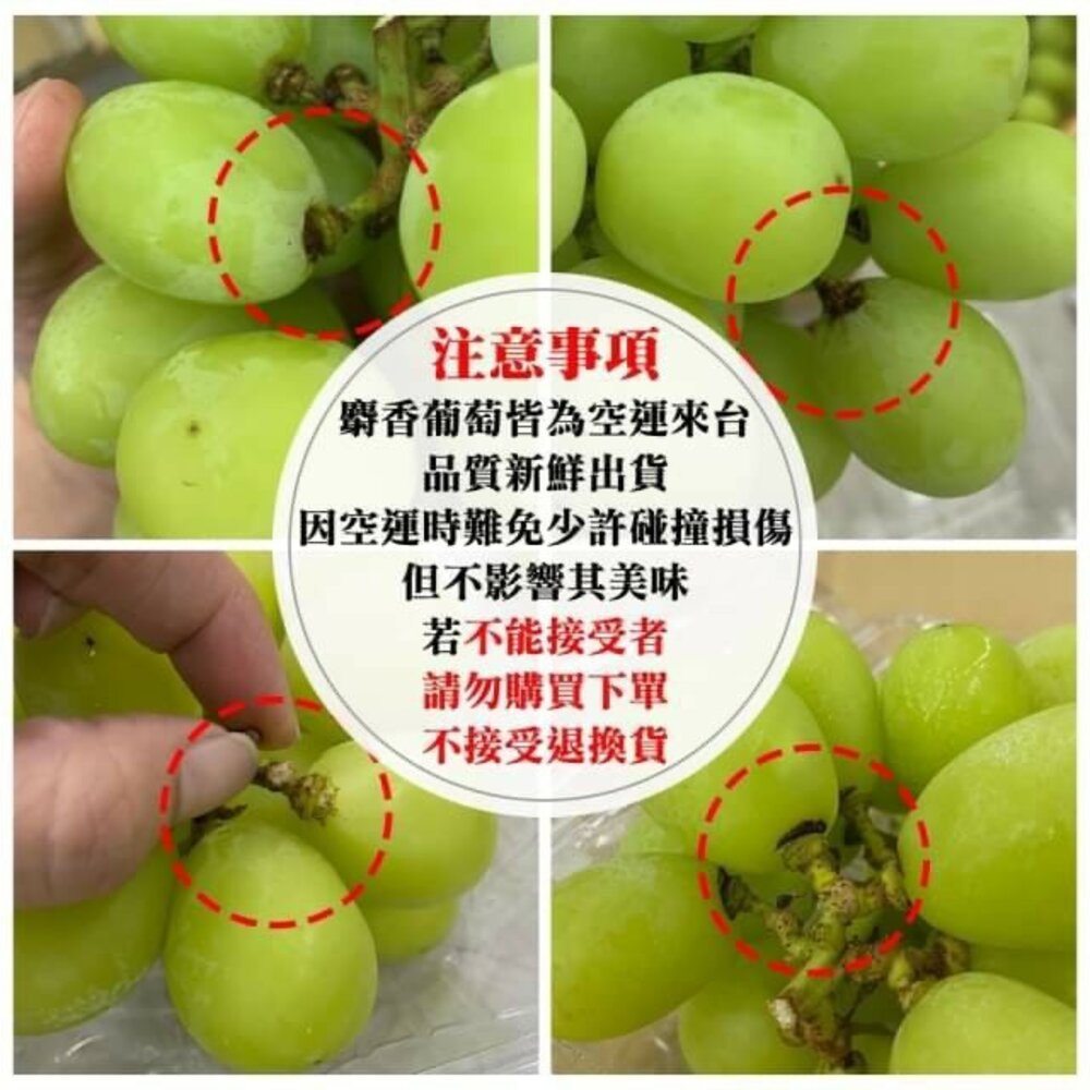 日本岡山晴王麝香葡萄禮盒 0運費【果之蔬】日本葡萄 無籽葡萄 綠葡萄 日本綠葡萄 日本水果 晴王葡萄-圖片-6