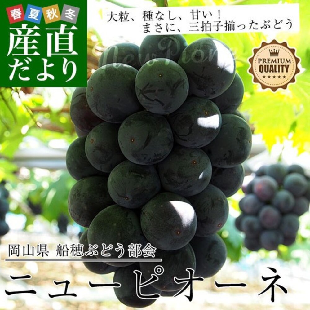 日本岡山/香川/長野貓眼葡萄禮盒(每串600-700g含盒) 0運費【果之蔬】貓眼葡萄 巨峰葡萄 黑葡萄 紫葡萄 日本葡-圖片-2