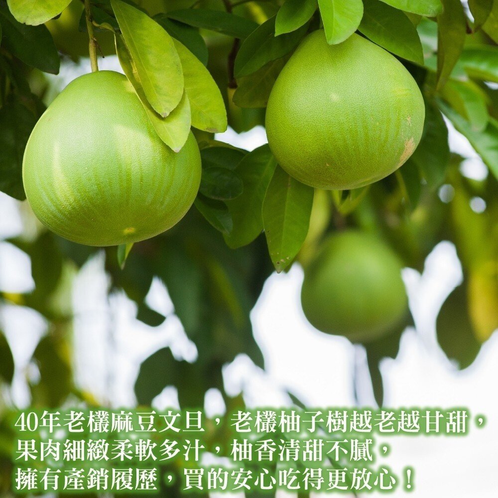 產銷履歷-台南冠軍老欉文旦10斤±10%含箱/7-12顆 0運費【果農直配】-圖片-1