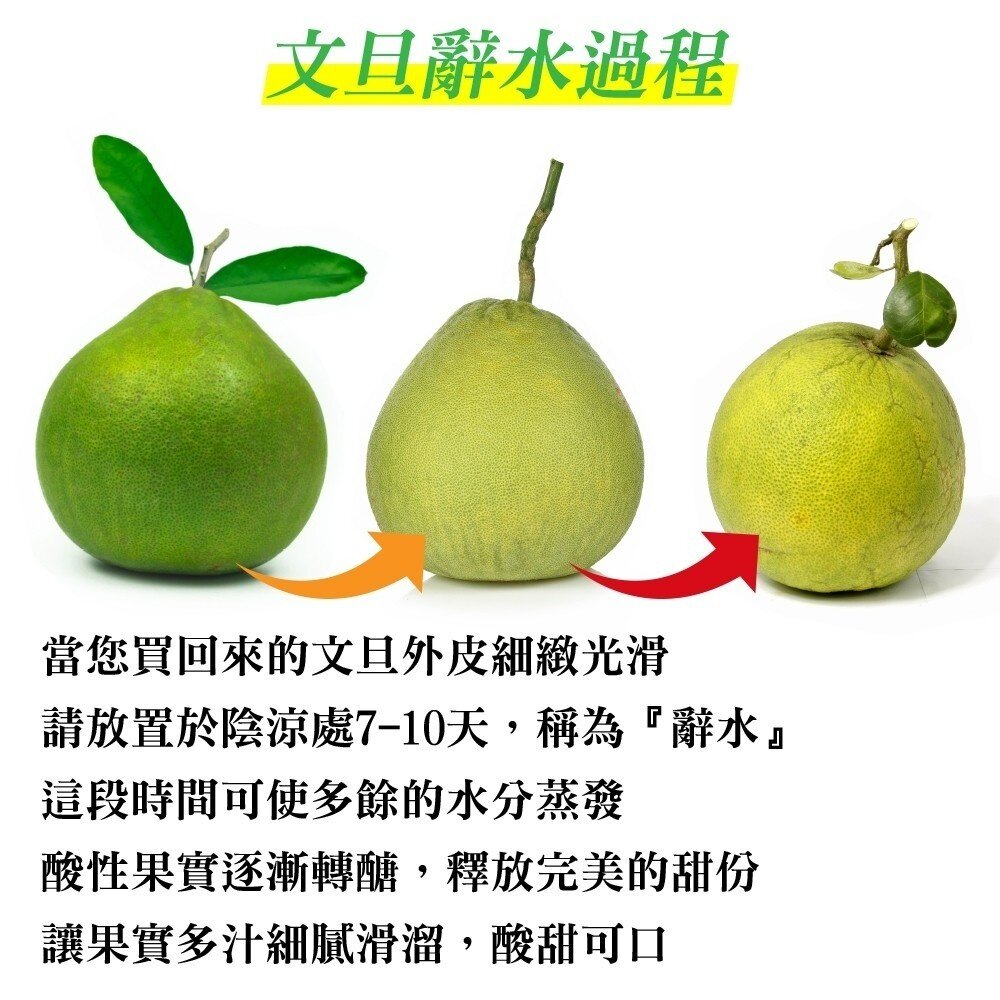 產銷履歷-台南冠軍老欉文旦10斤±10%含箱/7-12顆 0運費【果農直配】-圖片-5