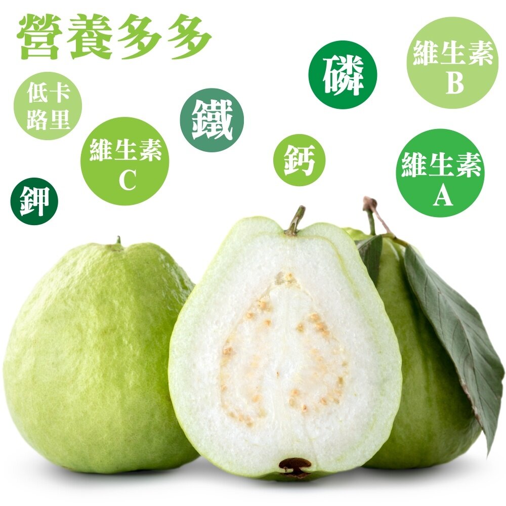 燕巢大顆牛奶珍珠芭樂 0運費【果農直配】白芭樂 大顆芭樂 燕巢芭樂 白肉芭樂 牛奶芭樂-圖片-5