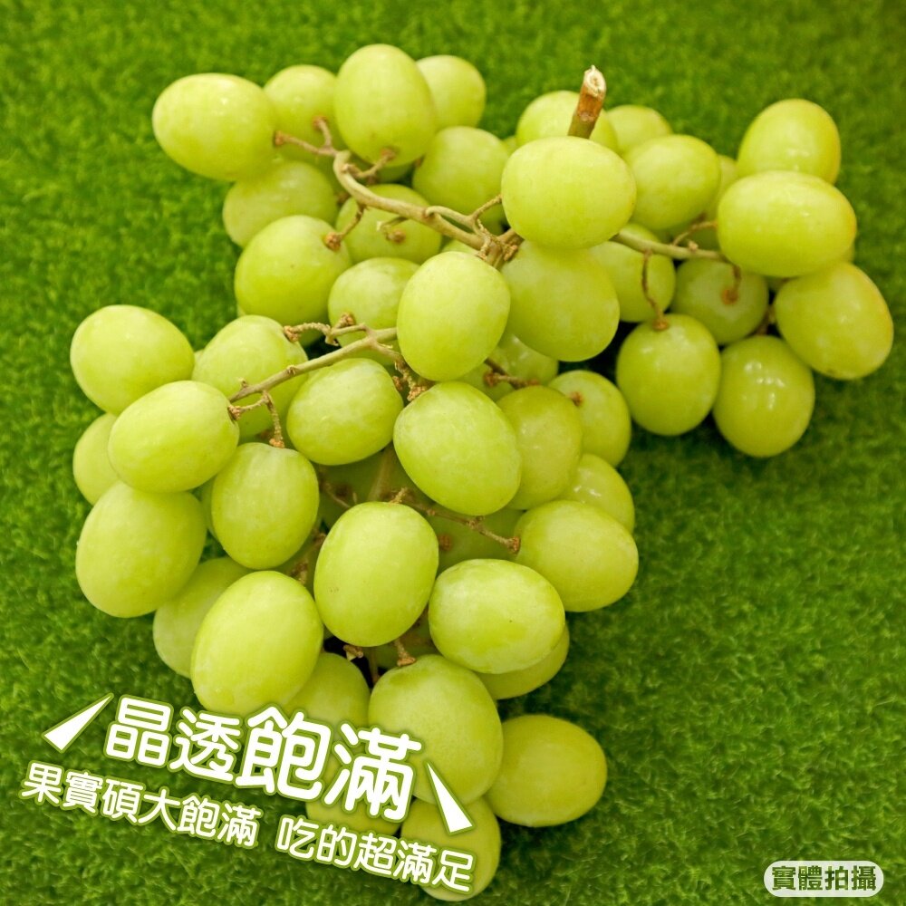 秘魯秋脆綠無籽葡萄【果之蔬】0運費 祕魯葡萄 進口葡萄 秋翠綠 綠葡萄 無籽綠葡萄 綠無籽葡萄-圖片-3