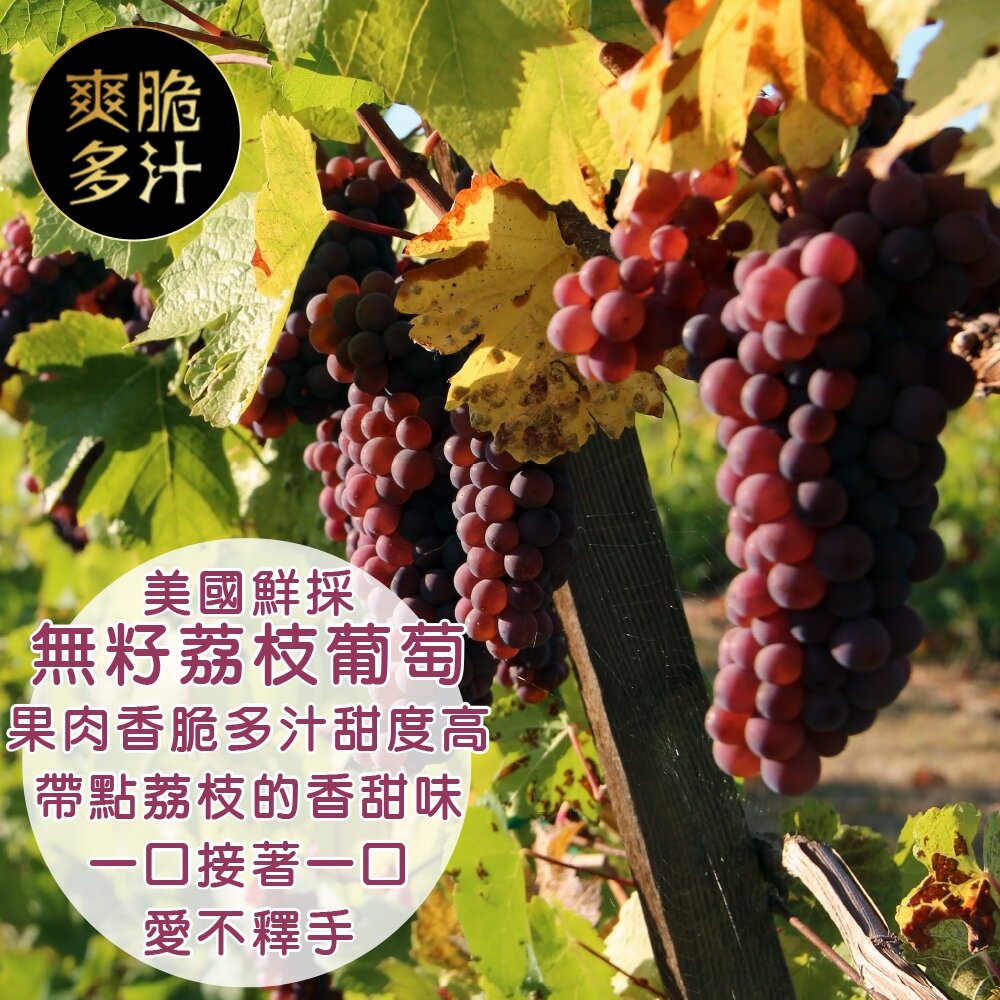 美國無籽荔枝葡萄 0運費【果之蔬】無籽葡萄-圖片-1
