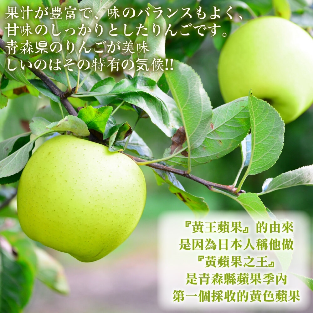 日本青森黃王蜜蘋果 0運費【果之蔬】日本蘋果 青森蘋果 蘋果禮盒 日本水果禮盒 蜜蘋果-圖片-2