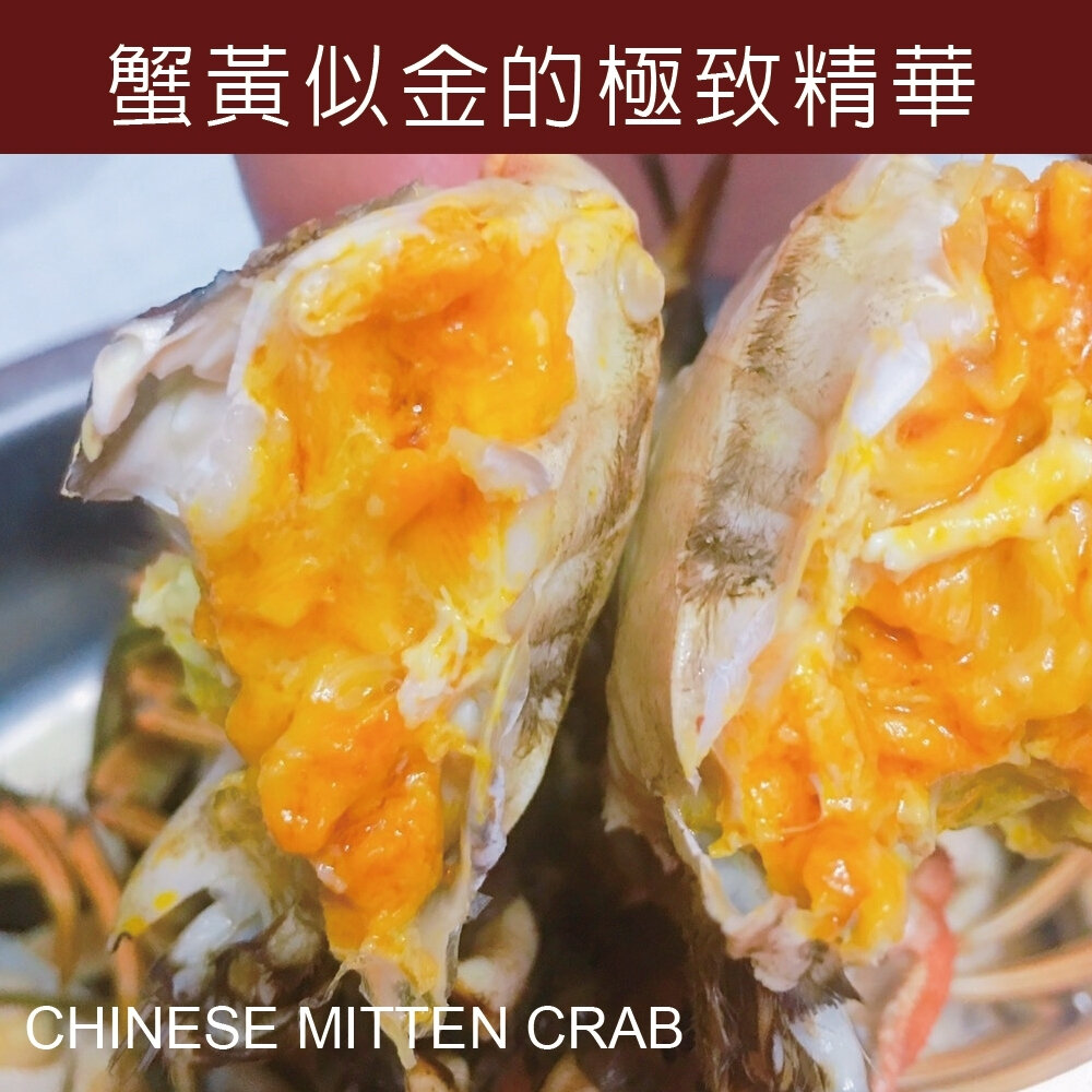 江南精品大閘蟹(每隻3.2-4.5兩±10%含繩重) 0運費【海陸管家】-圖片-2