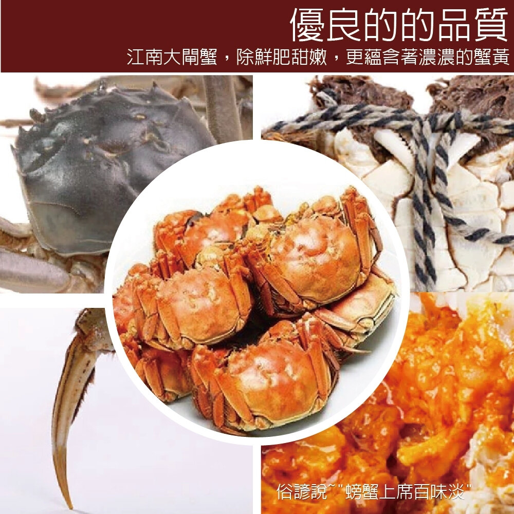 江南精品大閘蟹(每隻3.2-4.5兩±10%含繩重) 0運費【海陸管家】-圖片-3