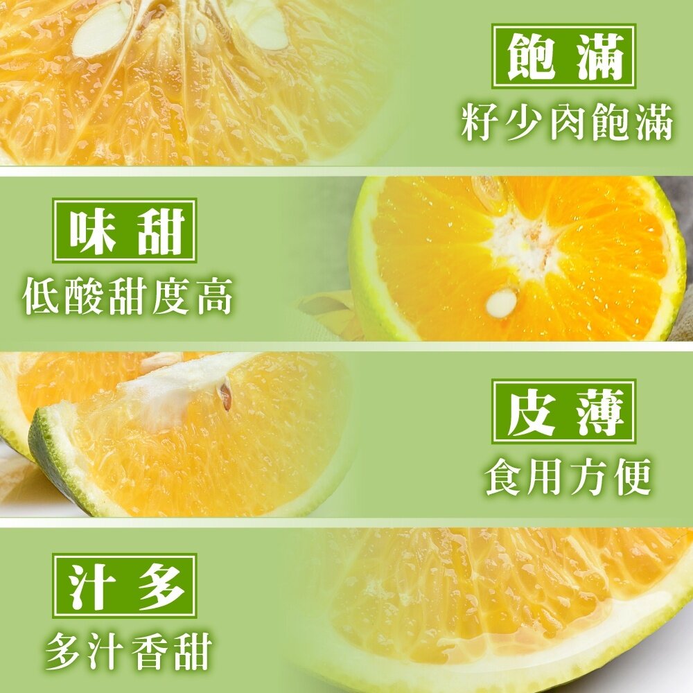 嚴選老欉雞蛋柳丁 0運費【果農直配】台灣柳丁 台灣雞蛋柳丁 雞蛋丁 老欉柳丁 柑橘-圖片-4
