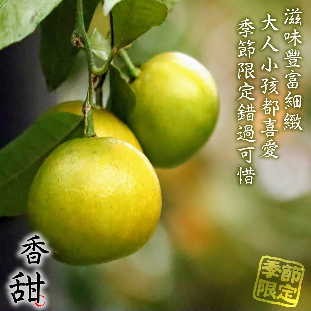 嚴選老欉雞蛋柳丁 0運費【果農直配】台灣柳丁 台灣雞蛋柳丁 雞蛋丁 老欉柳丁 柑橘-圖片-6