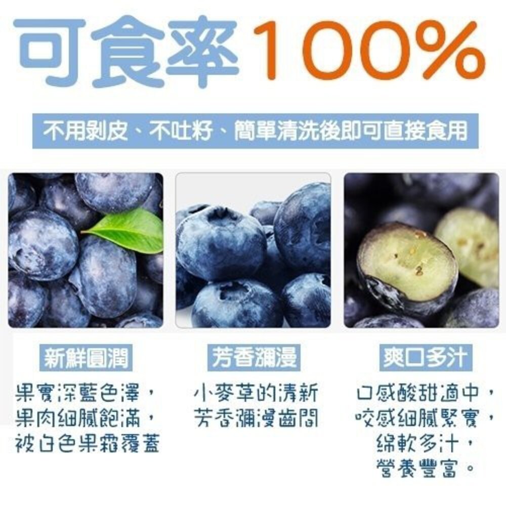 秘魯/智利/紐西蘭進口藍莓(每盒125g±10%) 0運費【果之蔬】-圖片-4
