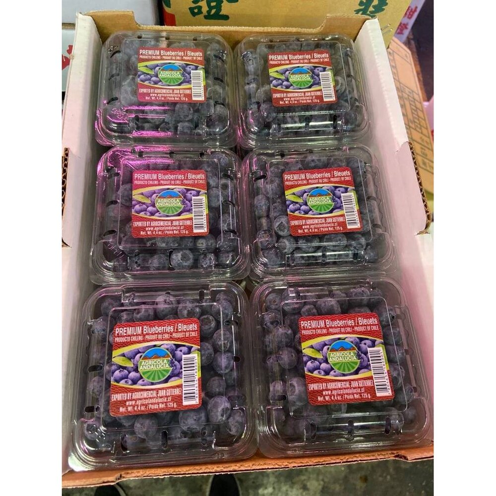 秘魯/智利/紐西蘭進口藍莓(每盒125g±10%) 0運費【果之蔬】-圖片-7