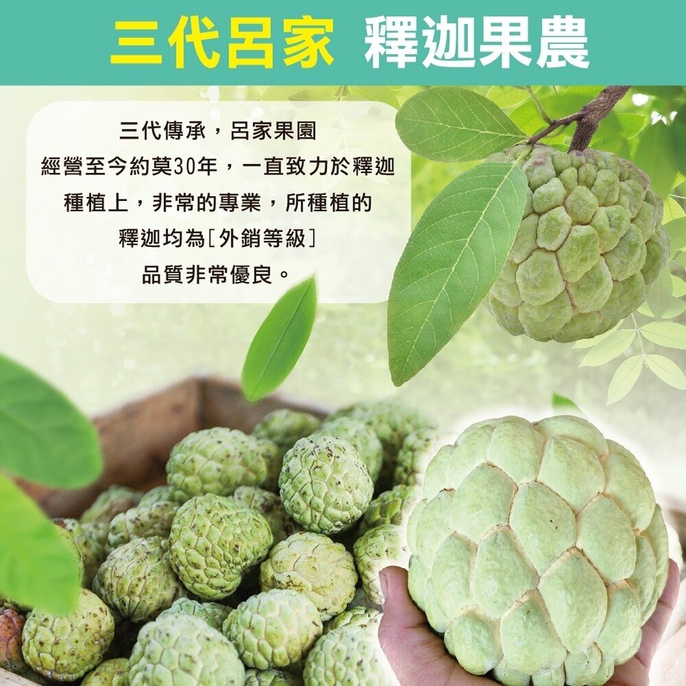 台東大目釋迦5斤±10% 0運費【果農直配】台灣釋迦 大目 釋迦-圖片-2