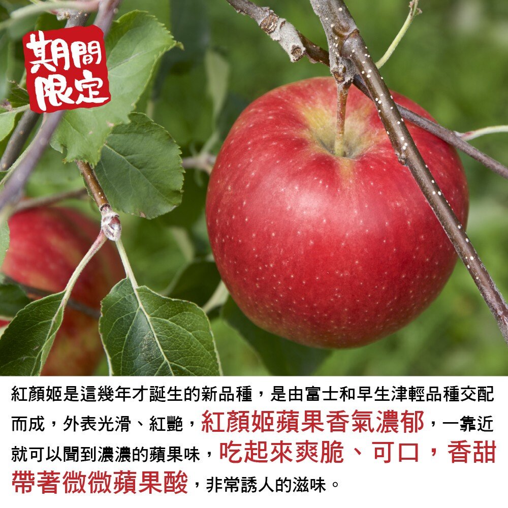 日本青森紅顏姬蘋果 0運費【果之蔬】日本蘋果 青森蘋果 日本紅蘋果 蘋果禮盒 年節水果禮盒-圖片-2