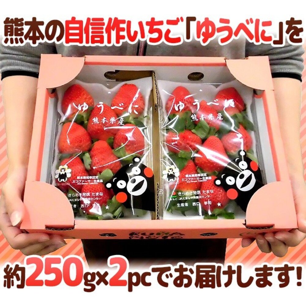 日本熊本/福岡/佐賀空運草莓(每P約7-12顆/300±10%)【果之蔬】日本草莓 草莓禮盒 年節禮盒 水果禮盒-圖片-7