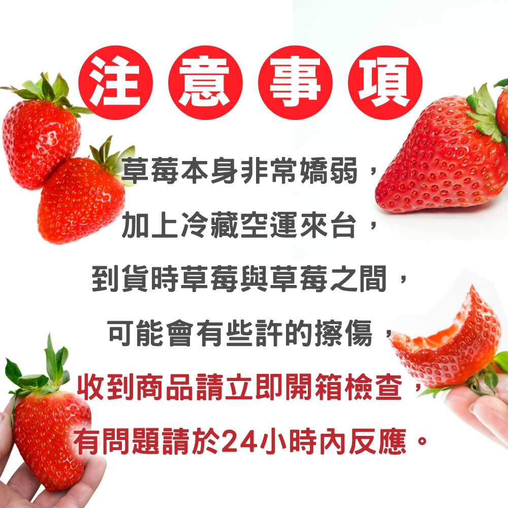 日本熊本/福岡/佐賀空運草莓(每P約7-12顆/300±10%)【果之蔬】日本草莓 草莓禮盒 年節禮盒 水果禮盒-圖片-8