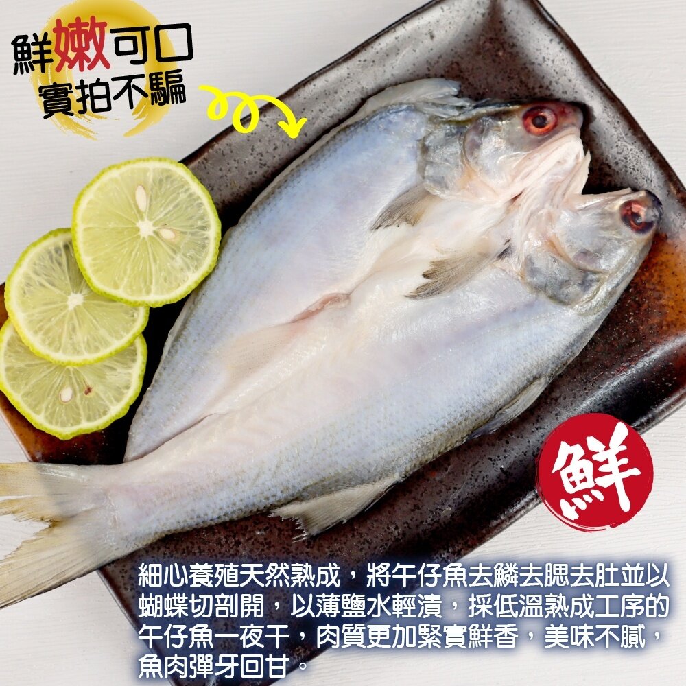 台灣午仔魚一夜干【天天鮮配】滿額免運 午仔魚一夜干 日式烤魚 煎烤氣炸 冷凍海鮮-圖片-2