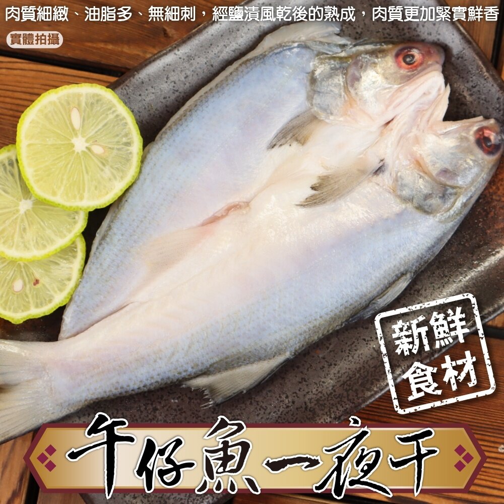 17030835631-台灣午仔魚一夜干【天天鮮配】滿額免運 午仔魚一夜干 日式烤魚 煎烤氣炸 冷凍海鮮