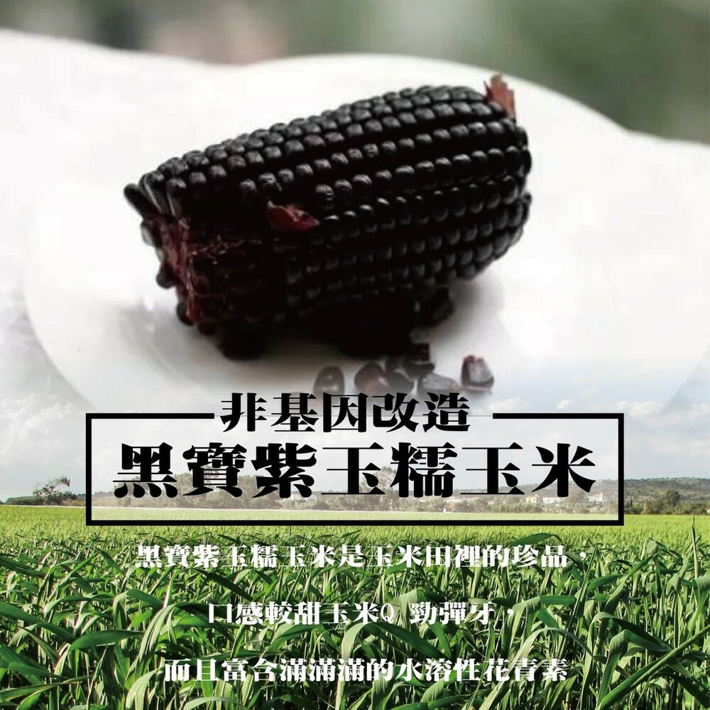 黑寶紫糯米玉米【果農直配】0運費-圖片-4